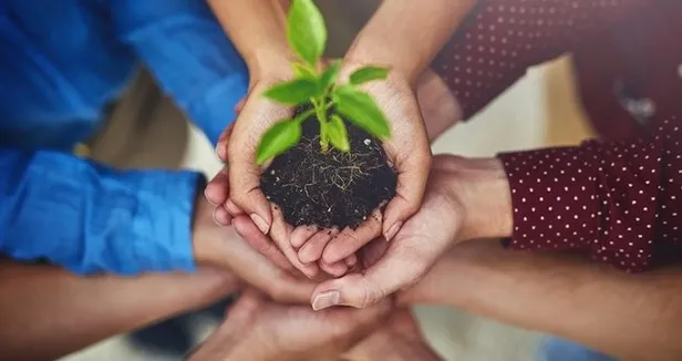 Fidan bağışı nereden, nasıl yapılır? TEMA Vakfı 1 fidan bağışlama fiyatı ne kadar, kaç TL? - 5