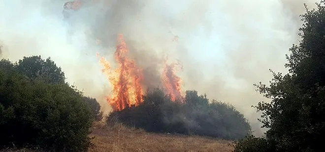 Son dakika: Manisa Kula’da makilik yangını ormana sıçradı