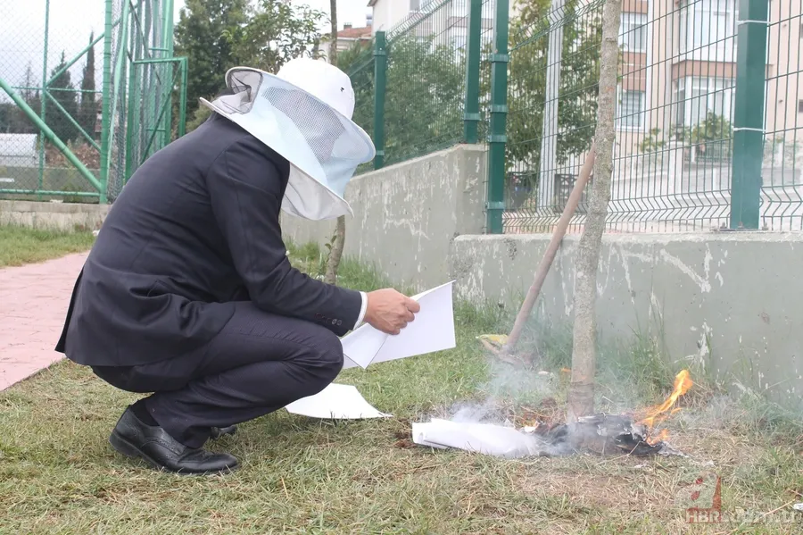 Okul bahçesinde yuva yapan arılar öğrencilere saldırdı 3