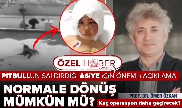 Pitbullun saldırdığı Asiye Ateş’in suratı ve vücudu eski estetiğine kavuşacak mı? Prof. Dr. Ömer Özkan A Haber’de duyurdu
