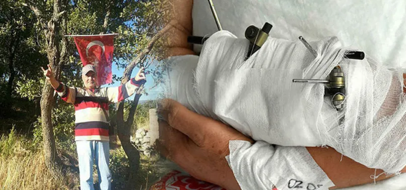 Türk bayrağı asmaya giden adama 2 birden ayı saldırdı