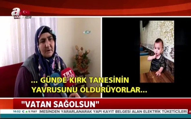 Kızını ve torununu şehit veren anne konuştu (Şehit Nurcan Karakaya - Mustafa Bedirhan Karakaya)