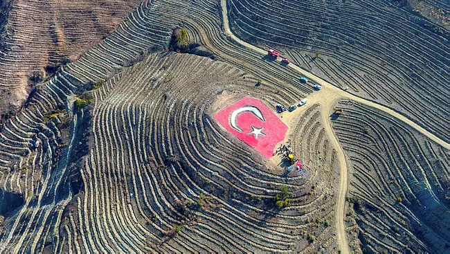 Birleşmiş Milletler Gıda ve Tarım Örgütü raporu belli oldu! Türkiye ağaçlandırmada Avrupa'da birinci oldu - 7