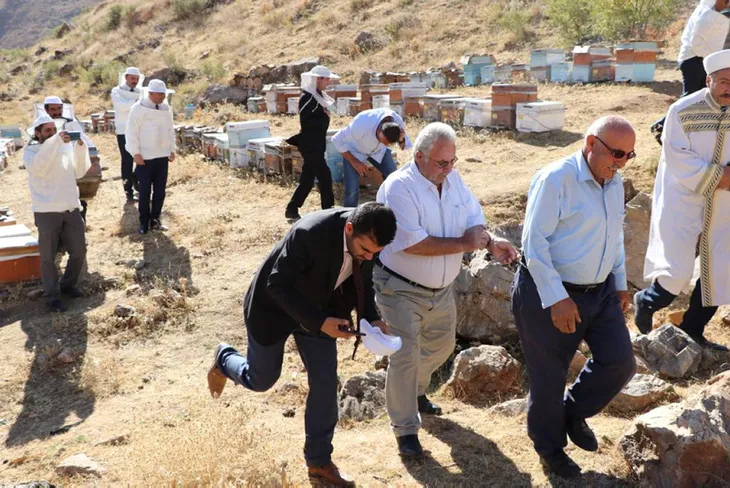 Verimli bal sezonu için şükür duasında arılar saldırdı - 2
