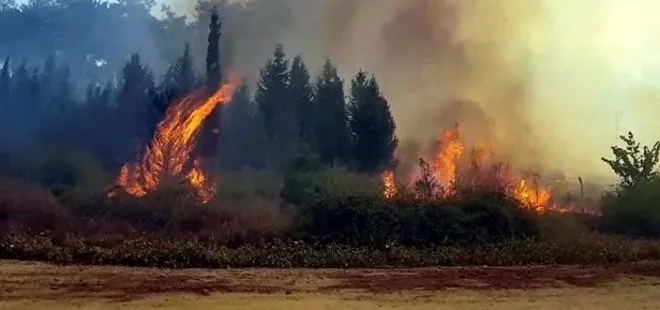 Son dakika: Kahramanmaraş’ta orman yangını! Vali Coşkun’dan flaş açıklama