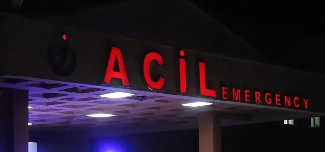 Bingöl’de feci kaza! İneğe çarpan otomobildeki 7 kişi yaralandı