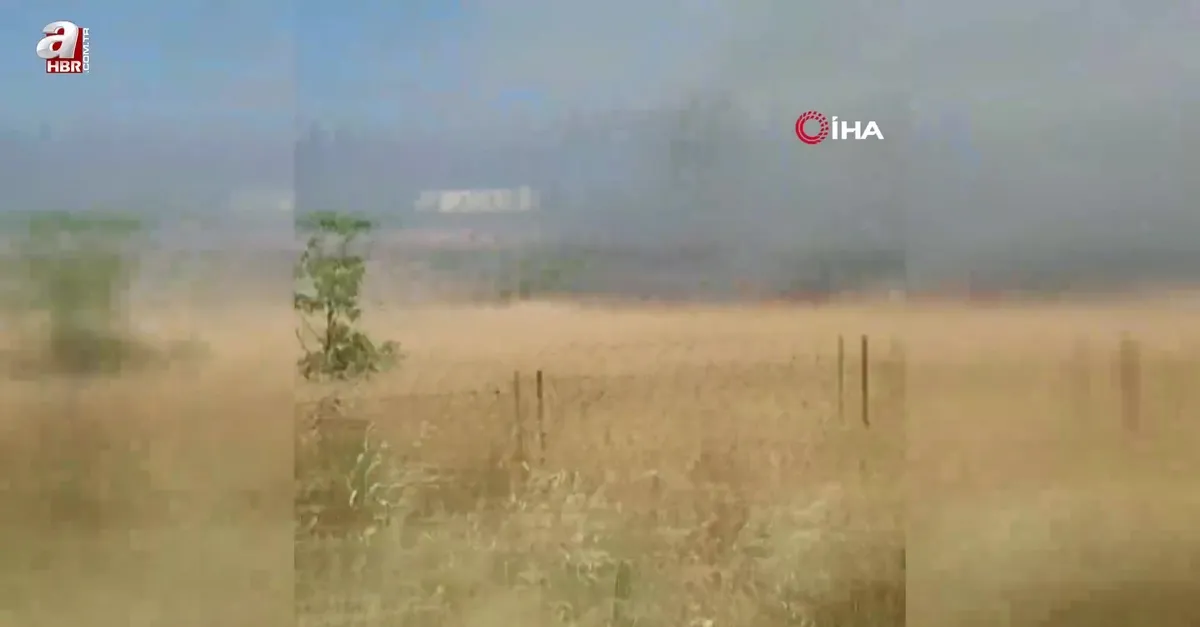 Lapseki'de orman yangını