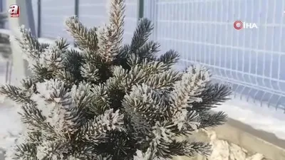 Ardahan’ın Göle ilçesi buz kesti