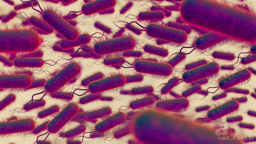 Pluralibacter gergoviae bakterisi nedir? Şampuanda çıkan bakteri zararlı mı? 3