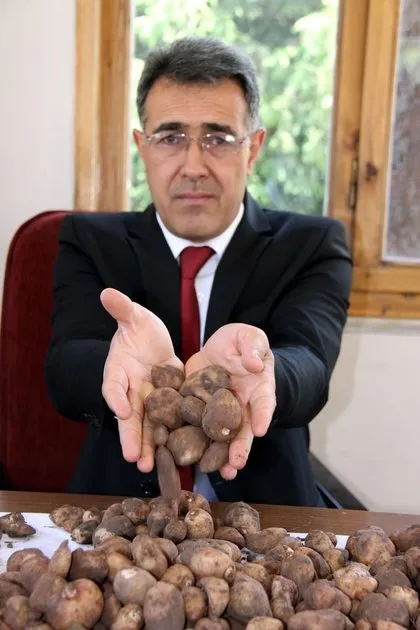 Evinde yabani orkide bulunan kişiye 40 bin lira para cezası