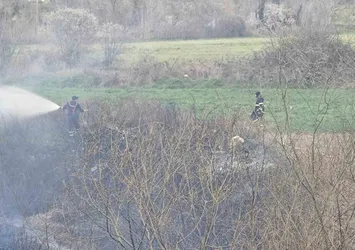 Bilecik'te arazi yangını