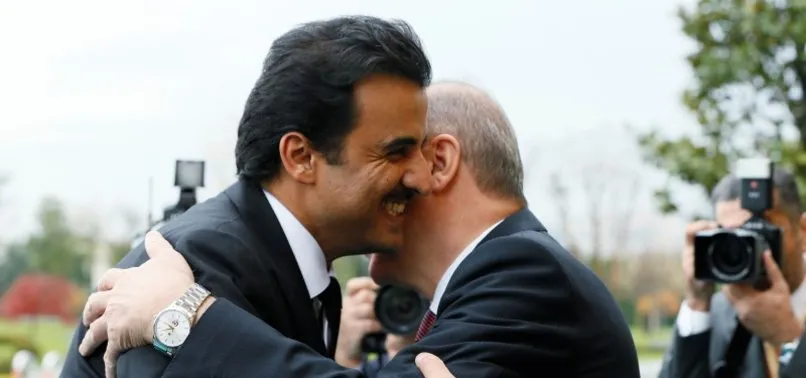 Başkan Erdoğan-Al Sani görüşmesi başladı