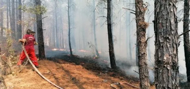 Antalya Kaş’ta orman yangını