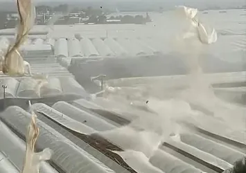 Antalya'da hortum felaketi! 1000 dönüm serayı yerle bir etti! 6 kişi yaralandı