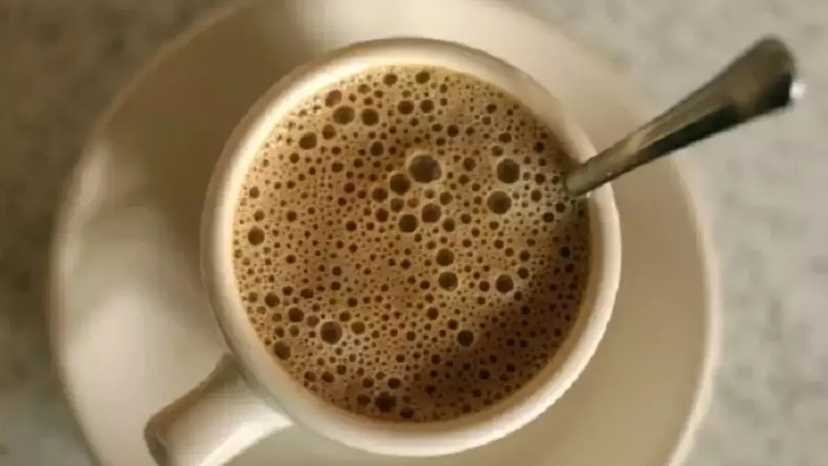 Hindiba kahvesinin faydaları: Neye iyi gelir, ne için kullanılır?