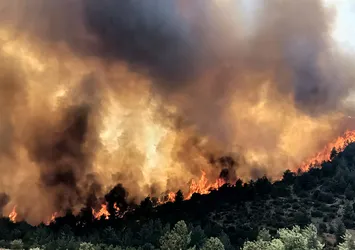 Mersin'de ormanlık alanda yangın çıktı