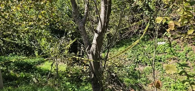 Zonguldak’ta trajik ölüm! Domuz sanılarak vurulan kadın hayatını kaybetti