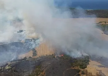 Tarihi Gelibolu yarımadasında yangın