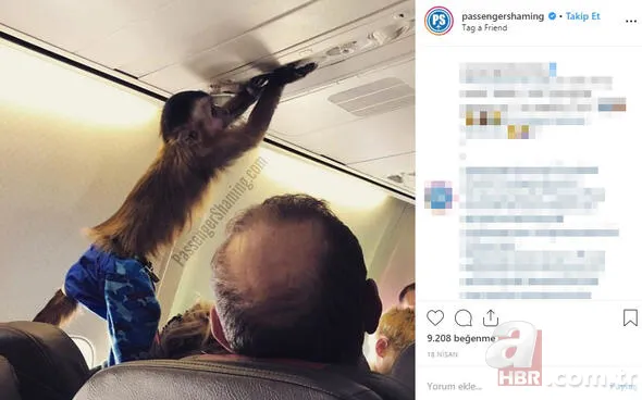 Son dakika: Uçakta akılalmaz olay! Saçından tutup yaka paça attılar 11