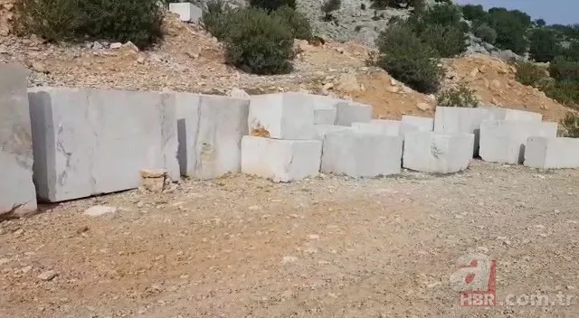 Adana'da Çinliler, Türk ortaklarını 10 milyonluk zararı uğrattı! Türk iş insanının oğlu intihar etti 3