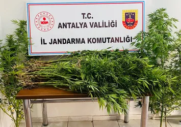 18 yıl önce vefat etmişlerdi! Kullanılmayan evin bahçesinden çıkanlar şoke etti
