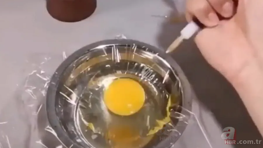 İşte civcivin yumurta içindeki gelişimi 🐣 İğne ile enjekte etti gün gün görüntüledi 🥚 16