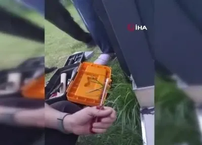 Pervaza sıkışan muhabbet kuşu kurtarıldı