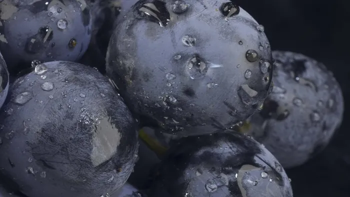 1714805788541.jpg Aç karnına 5 tane kuru üzüm yemenin faydası! - 2