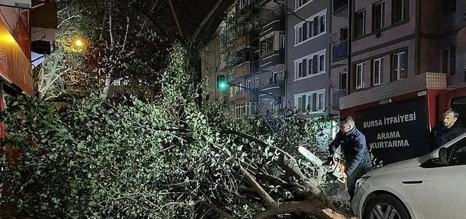 Bursa’da şiddetli lodos! Arabanın üstüne ağaç devrildi