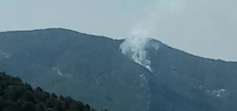 Son dakika! Antalya’da orman yangını