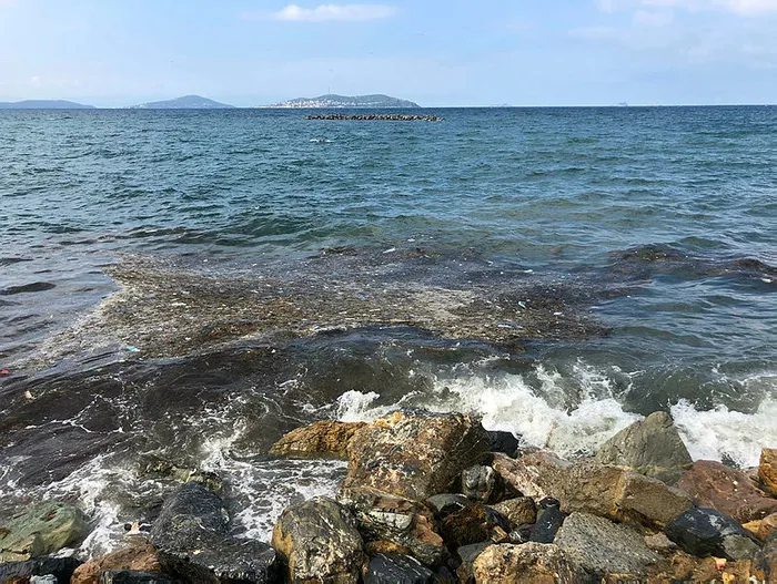 Caddebostan Sahili'nde iç burkan görüntü! Denizde çöp yığınları oluştu - 1