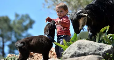 Mersin Silifke’de yörüklerin masal gibi hayatı