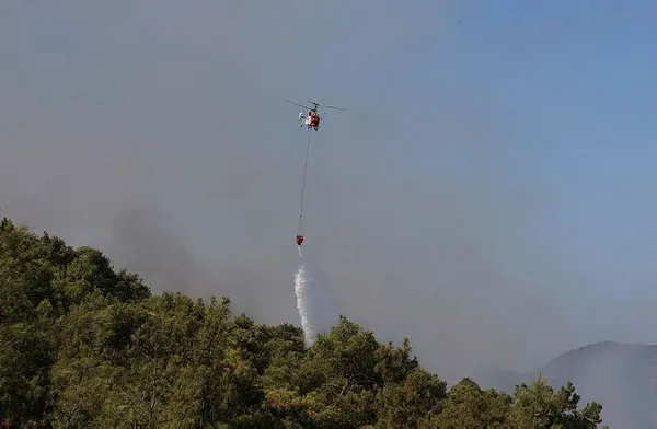 Devlet ormanlar için tüm imkanlarıyla seferber! Yangınlarla mücadele için kullanılan uçak, helikopter ve ekipman sayısı açıklandı