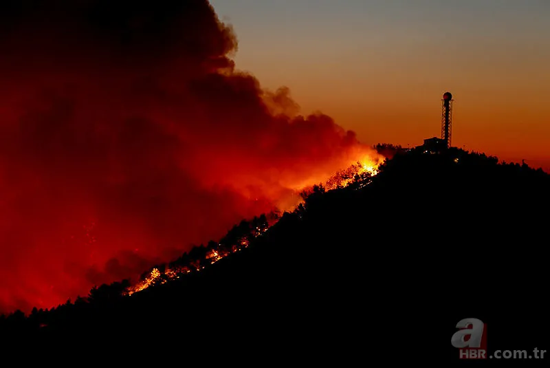 İzmir orman yangını son durum | İzmir yangın son dakika söndürüldü mü? 6