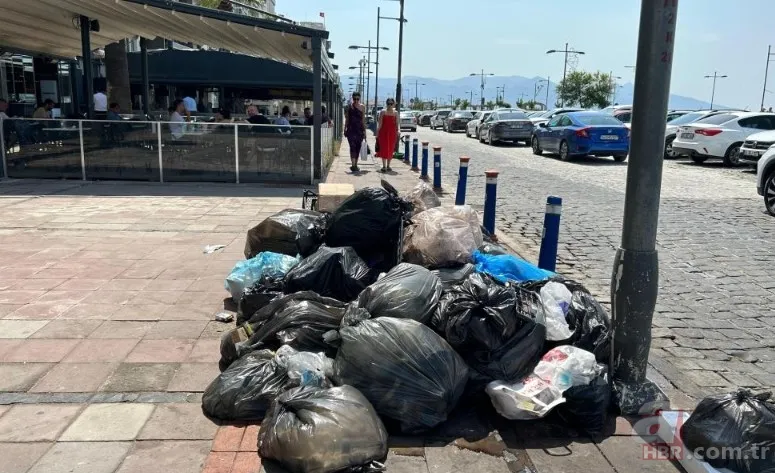 İzmir'de halkı isyan ettiren görüntüler! Karada çöp dağları, havada pis koku ve denizde balık ölümleri... 1