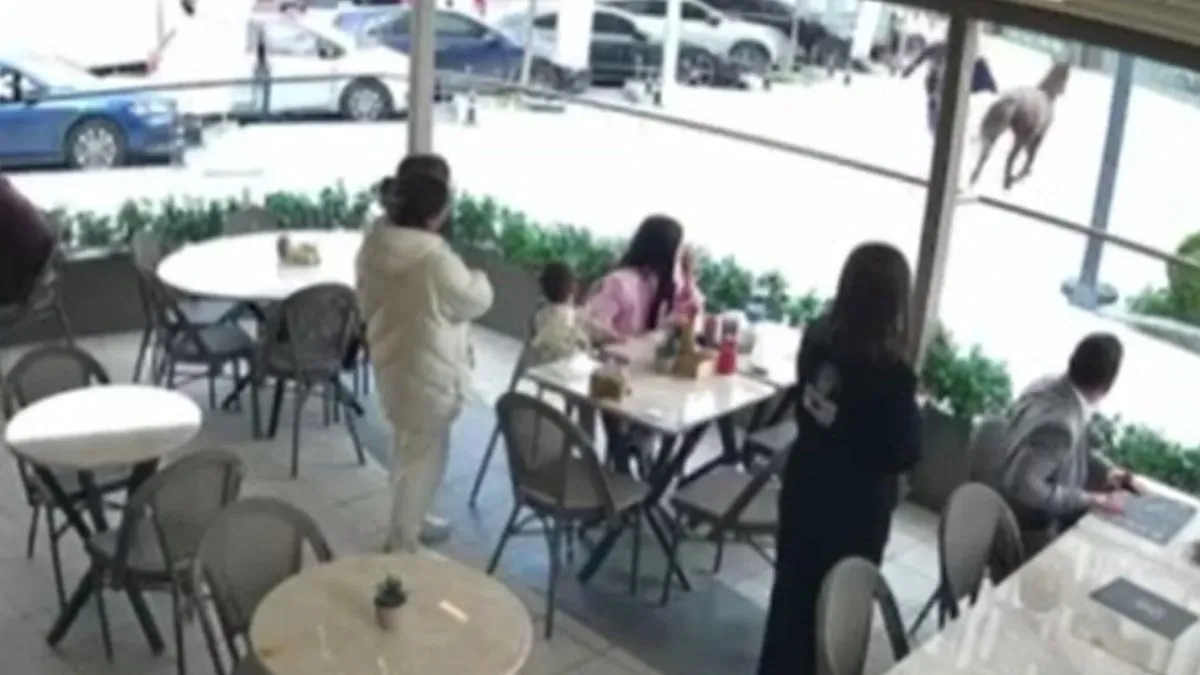 Ümraniye'de şaşkına çeviren olay! Başıboş at vatandaşları dakikalarca kovaladı