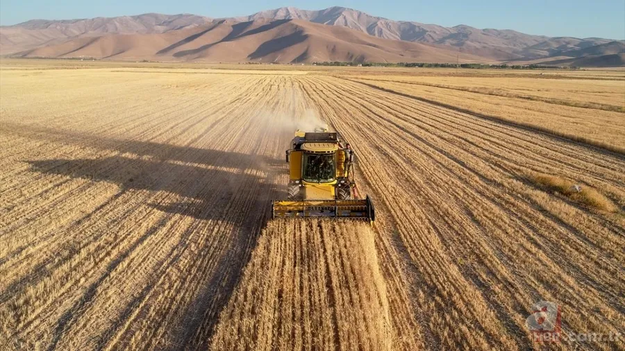Van'da hububat üretiminde yüzde 75 artış! Sertifikalı tohumla ekim yapılıyor 8