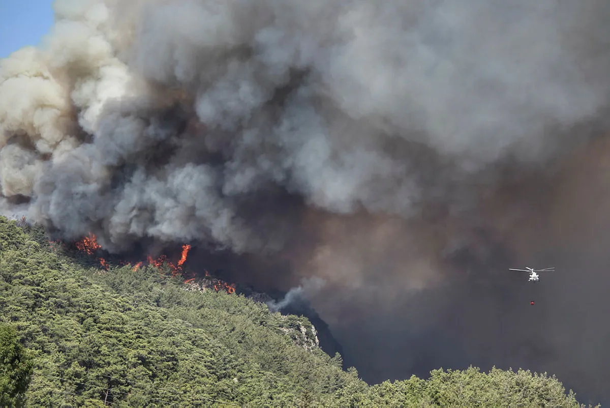 Yangınlarda son durum ne? Bakan Murat Kurum açıkladı: 1 yıl içerisinde teslim edeceğiz