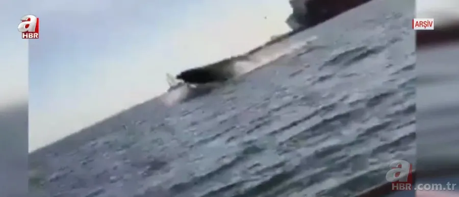 Balık tutan adama köpek balığı saldırdı! Korkunç anlar kamerada 7