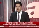 Bakan canlı yayında duyurdu! Bugün hesaplarda...