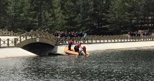 Piknik faciası! Fotoğraf çekmek isterken...