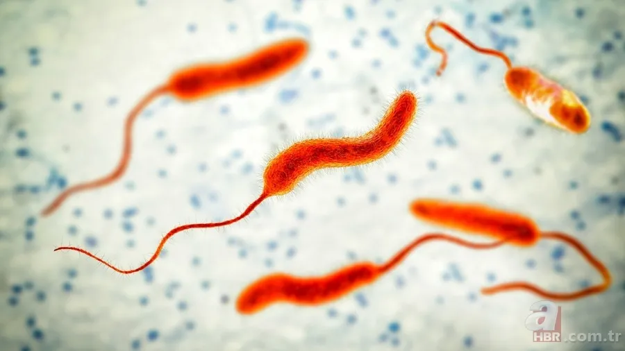 Kolera nedir, nasıl bulaşır? O ülkede ölü sayısı giderek artıyor: UNICEF uyardı! Tedavisi var mı, belirtileri neler? 6