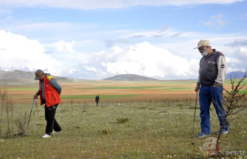 Karaman’da vatandaşlar kilosu 200 lirayı bulan domalan mantarını karış karış arıyor! 4