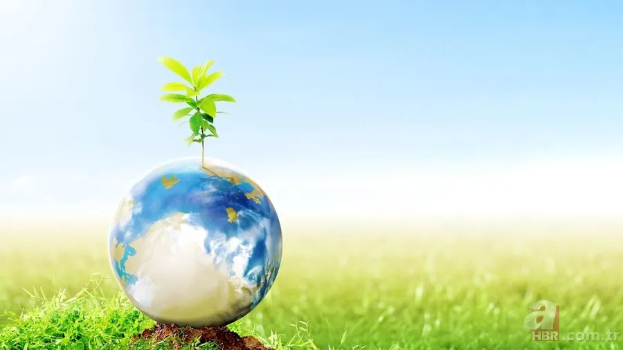 22 Nisan ne günü? Dünya Günü nedir, neden kutlanır? Google'a Doodle olan Dünya Günü ne zaman ortaya çıktı? 3