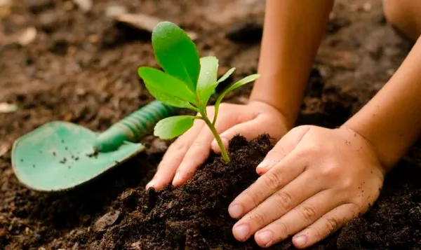 İngiltere’den Türkiye’deki çevreci projelere destek! Zirve Londra’da