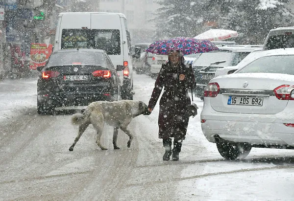 İstanbul kar yağışı saat kaçta başlayacak? 21 Ocak İstanbul’da hava nasıl? İstanbul 5 günlük hava durumu…