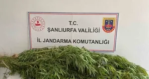 Zehir tacirlerine geçit yok: 2 gözaltı