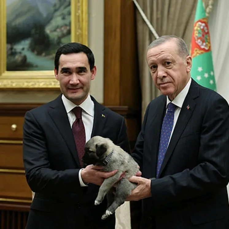 Başkan Erdoğan Kangal hediye etti