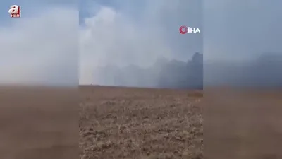 Sarıkamış ormanlarında örtü yangını