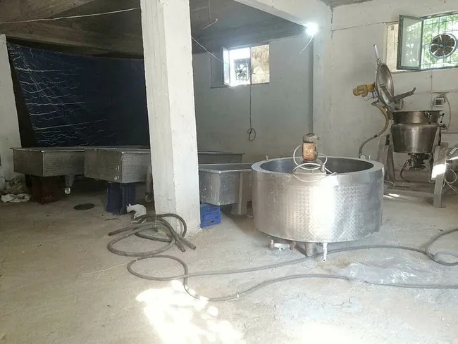 Denizli’de akılalmaz olay! Son kullanma tarihi geçen 3 ton peyniri piyasaya sürecekti - 3